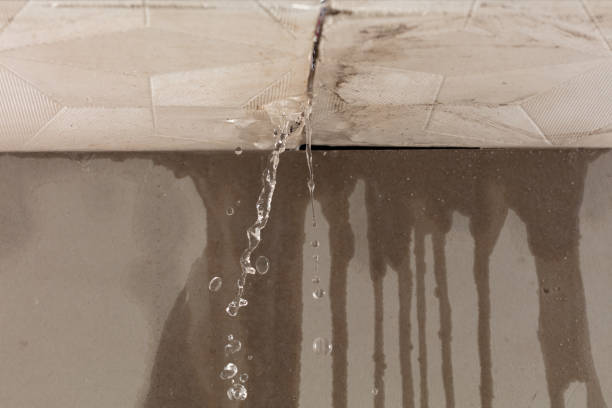 Professional Burst Pipe Cleanup technician working in Rogue River, OR